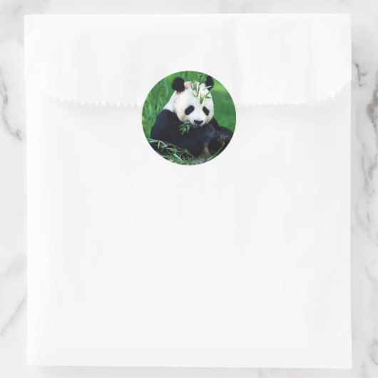 Panda Eating Leaves Ronde Sticker (Tas)