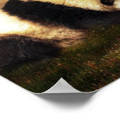 Panda et femme poster (Hoek)