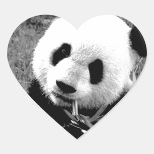 Panda Eyes Hart Sticker