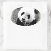 Panda Eyes Ovale Sticker (Tas)