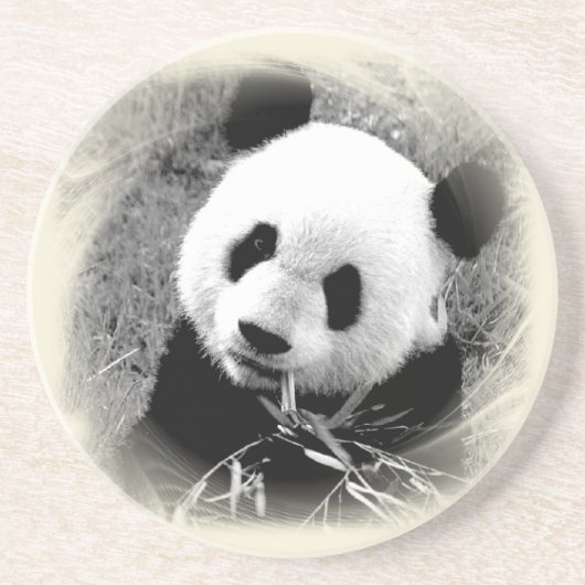 Panda Eyes Zandsteen Onderzetter (Voorkant)