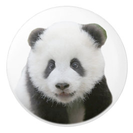 Panda Face Keramische Knop