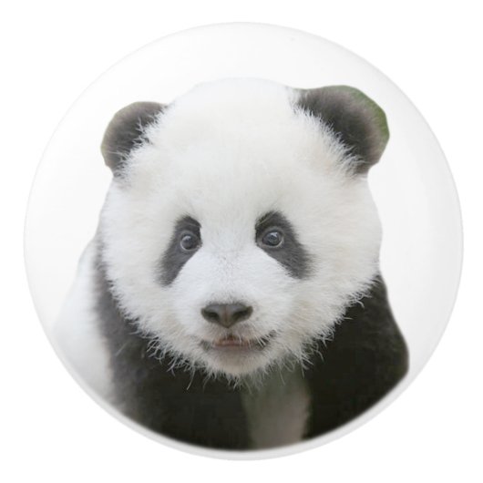 Panda Face Keramische Knop (Voorkant)