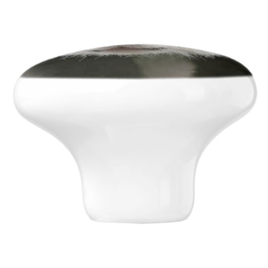 Panda Face Keramische Knop (Zijkant)