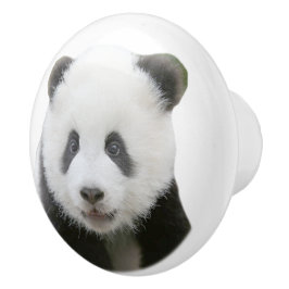 Panda Face Keramische Knop