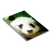 Panda Face Notitieboek (Rechterzijde)