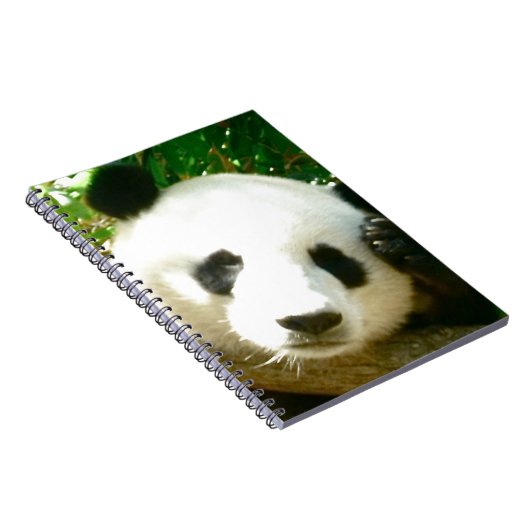 Panda Face Notitieboek (Rechterzijde)