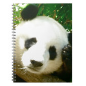 Panda Face Notitieboek (Voorkant)