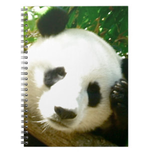 Panda Face Notitieboek