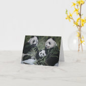 Panda Family Kaart (Gele Bloem)