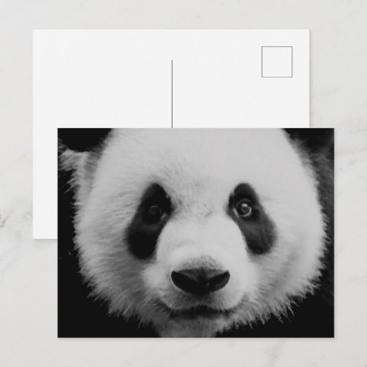 Panda Feestdagenkaart (Voorkant / Achterkant)