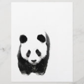 Panda Flyer (Voorkant)