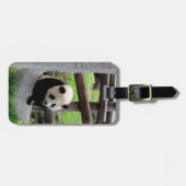 Panda-foto - bagagelabel (Voorkant horizontaal)