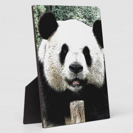 Panda Fotoplaat (Zijkant)
