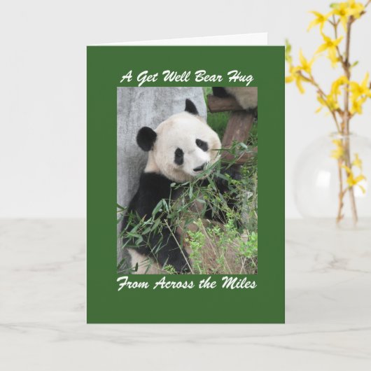 Panda Get Well Beer knuffel over de Miles Kaart (Gele Bloem)