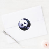 Panda Gezicht Pop Kunst Ronde Sticker (Envelop)