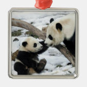 Panda High Vijf Metalen Ornament (Voorkant)