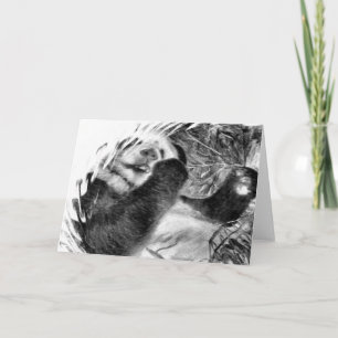 Panda Hug B&W Wenskaart Kaart