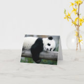 Panda Hugging Post Kaart (Gele Bloem)