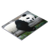 Panda Hugging Post Notitieboek (Linkerzijde)