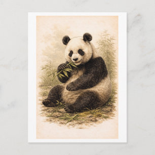 Panda-illustratie in vintage-stijl briefkaart