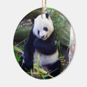 Panda in de dierentuin van San Diego Keramisch Ornament (Links)