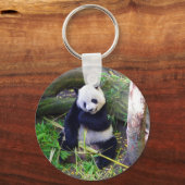 Panda in de dierentuin van San Diego Sleutelhanger (Voorkant)