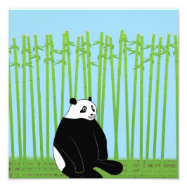 Panda in een Bamboo Forest print Foto Afdruk
