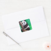 Panda in een boomschilderij vierkante sticker (Envelop)