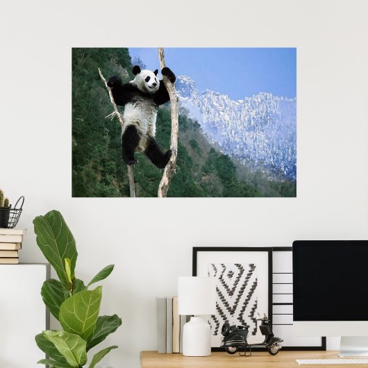 Panda in een poster (Thuiskantoor)