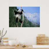 Panda in een poster (Keuken)