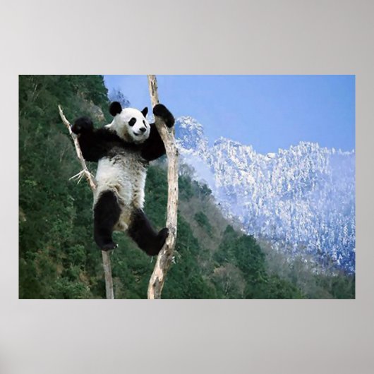 Panda in een poster (Voorkant)