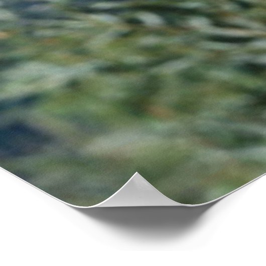 Panda in een poster 3 (Hoek)