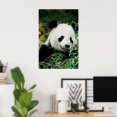 Panda in een struik poster (Thuiskantoor)