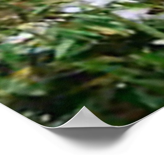 Panda in het bergachtige poster (Hoek)