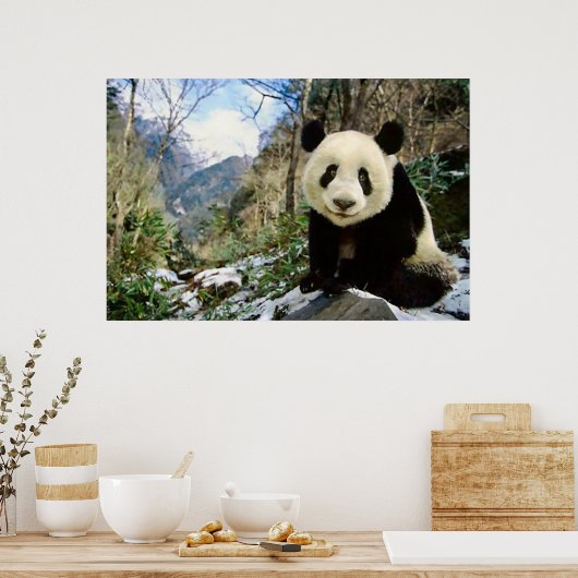 Panda in het bergachtige poster (Keuken)