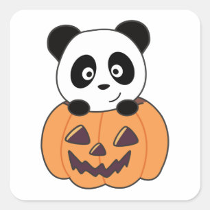 Panda In Pompoen Zoete Panda's Gelukkig Halloween Vierkante Sticker