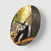 Panda in Thought – Peaceful Tree-Side Reflection T Ronde Klok (Hoek)