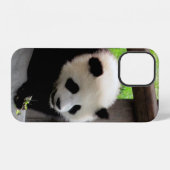 panda iPhone hoesje (Achterkant horizontaal)