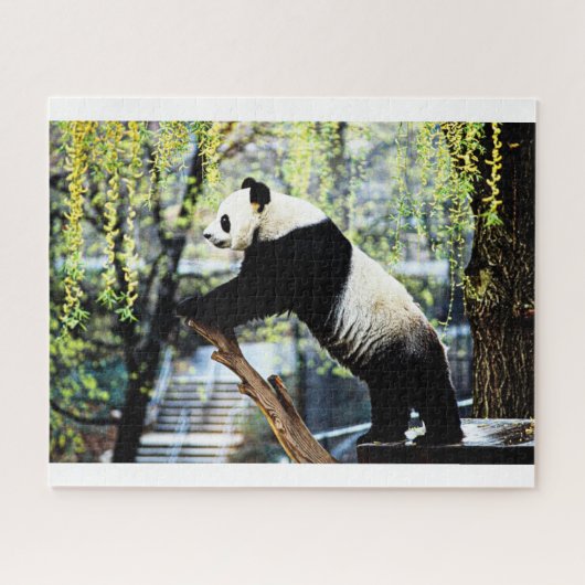 Panda Jigzaag Puzzle Legpuzzel (Horizontaal)