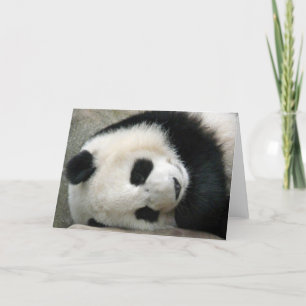 Panda Kaart
