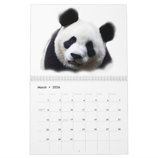 Panda Kalender (Mar 2026)