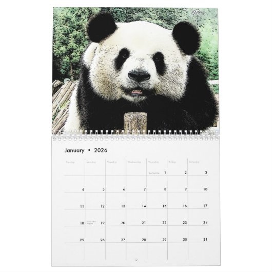 Panda Kalender (Jan 2026)