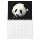 Panda Kalender (Mar 2027)