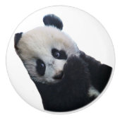 Panda Keramische Knop (Voorkant)
