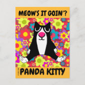 PANDA KITTY CAT-VERGADERING ALS EEN PERSOON-BRIEFK BRIEFKAART (Voorkant)