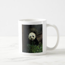 Panda Koffiemok