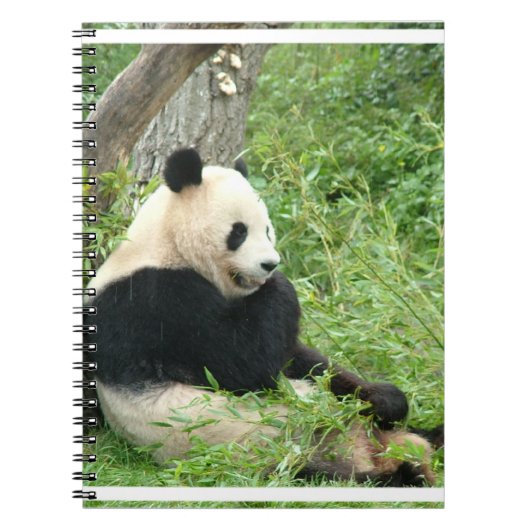 Panda-laptop Notitieboek (Voorkant)