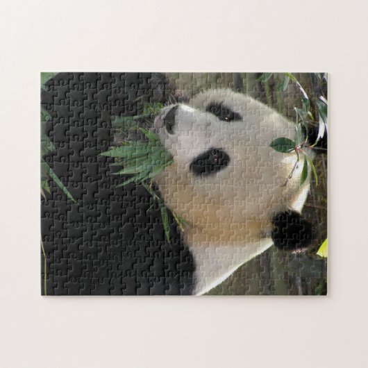 Panda Legpuzzel (Horizontaal)
