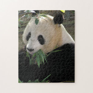 Panda Legpuzzel
